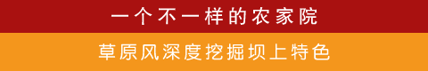 丰宁草原风农家院